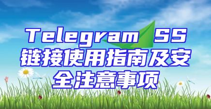 Telegram SS链接使用指南及安全注意事项