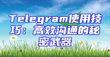 Telegram使用技巧：高效沟通的秘密武器