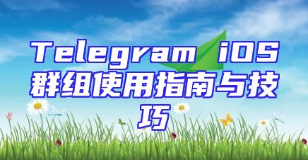 Telegram iOS群组使用指南与技巧