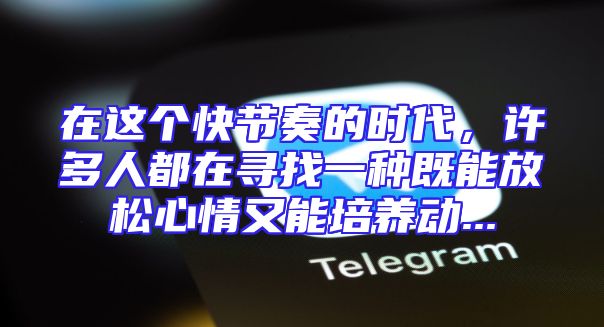 在这个快节奏的时代，许多人都在寻找一种既能放松心情又能培养动...