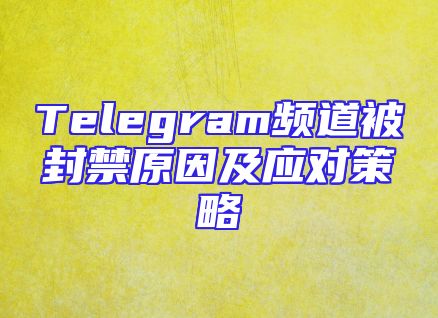 Telegram频道被封禁原因及应对策略
