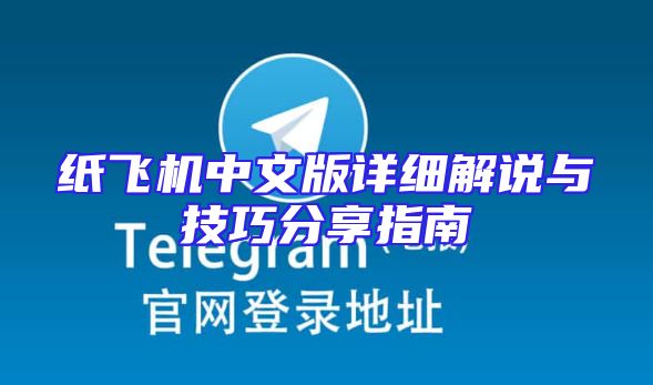 纸飞机中文版详细解说与技巧分享指南