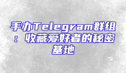 手办Telegram群组：收藏爱好者的秘密基地