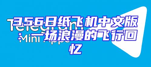 356日纸飞机中文版：一场浪漫的飞行回忆