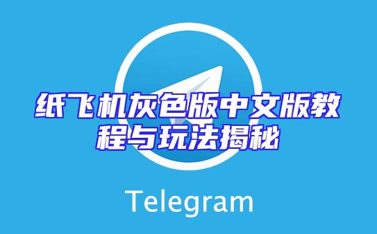 纸飞机灰色版中文版教程与玩法揭秘