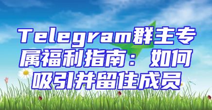 Telegram群主专属福利指南：如何吸引并留住成员