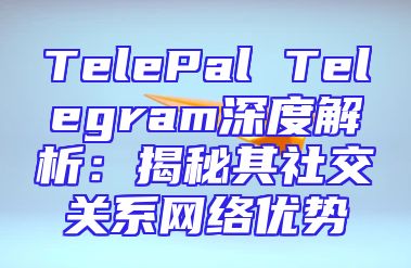 TelePal Telegram深度解析：揭秘其社交关系网络优势