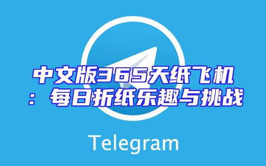 中文版365天纸飞机：每日折纸乐趣与挑战