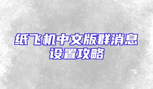 纸飞机中文版群消息设置攻略