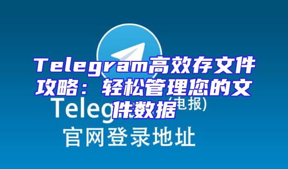 Telegram高效存文件攻略：轻松管理您的文件数据