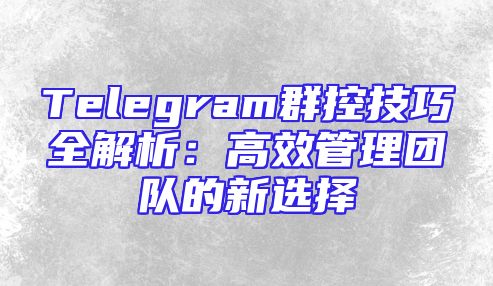 Telegram群控技巧全解析：高效管理团队的新选择