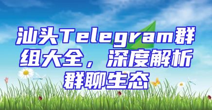 汕头Telegram群组大全，深度解析群聊生态