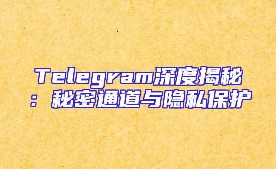 Telegram深度揭秘：秘密通道与隐私保护
