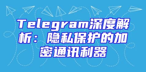 Telegram深度解析：隐私保护的加密通讯利器
