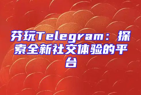 芬玩Telegram：探索全新社交体验的平台