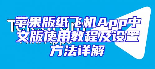 苹果版纸飞机App中文版使用教程及设置方法详解