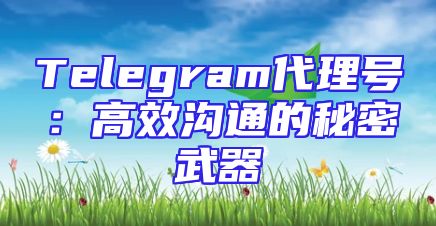 Telegram代理号：高效沟通的秘密武器