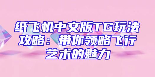 纸飞机中文版TG玩法攻略：带你领略飞行艺术的魅力