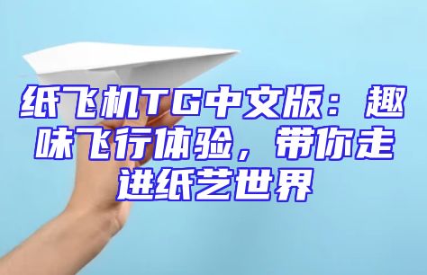 纸飞机TG中文版：趣味飞行体验，带你走进纸艺世界