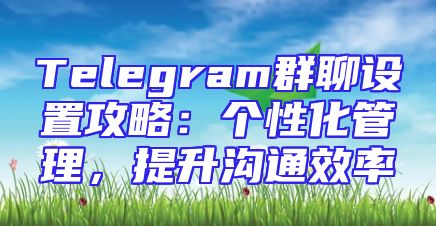 Telegram群聊设置攻略：个性化管理，提升沟通效率