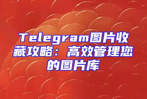 Telegram图片收藏攻略：高效管理您的图片库
