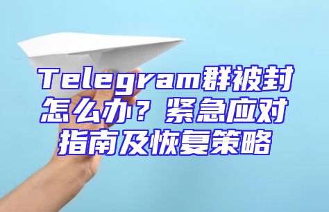 Telegram群被封怎么办？紧急应对指南及恢复策略