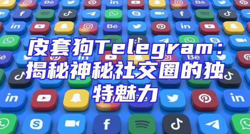 皮套狗Telegram：揭秘神秘社交圈的独特魅力