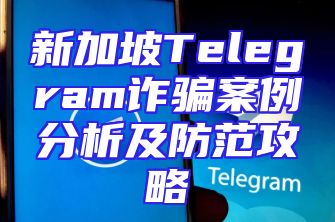 新加坡Telegram诈骗案例分析及防范攻略