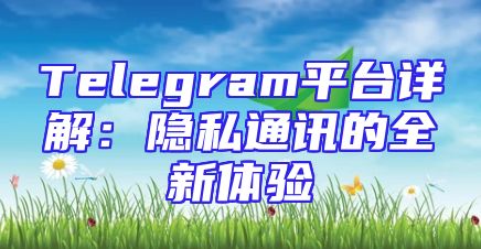 Telegram平台详解：隐私通讯的全新体验