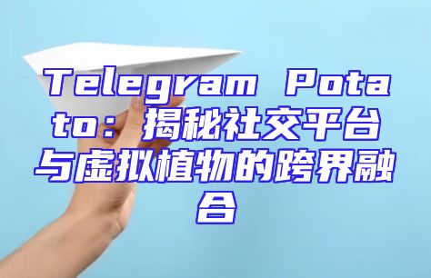 Telegram Potato：揭秘社交平台与虚拟植物的跨界融合