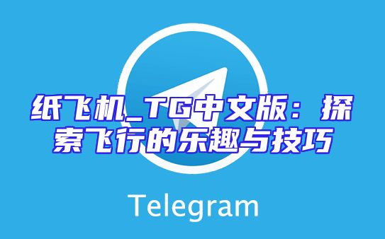 纸飞机_TG中文版：探索飞行的乐趣与技巧