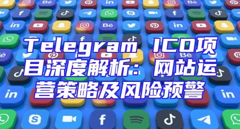 Telegram ICO项目深度解析：网站运营策略及风险预警