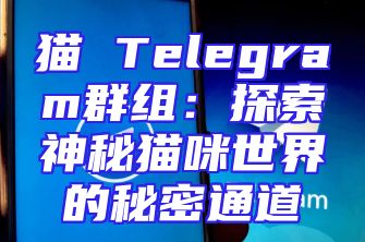 猫 Telegram群组：探索神秘猫咪世界的秘密通道