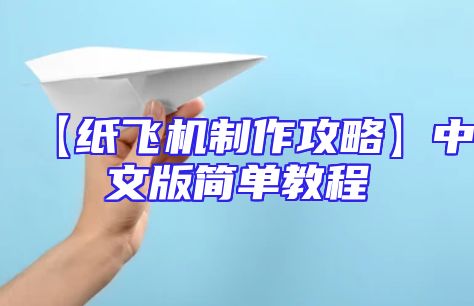 【纸飞机制作攻略】中文版简单教程