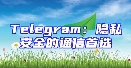 Telegram：隐私安全的通信首选