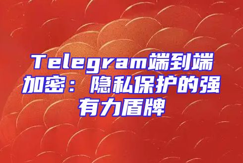Telegram端到端加密：隐私保护的强有力盾牌