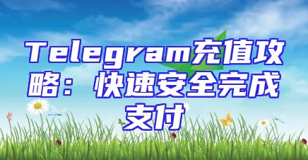 Telegram充值攻略：快速安全完成支付