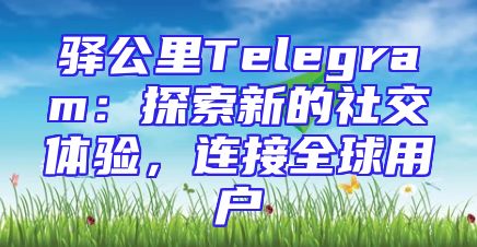 驿公里Telegram：探索新的社交体验，连接全球用户