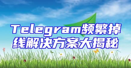 Telegram频繁掉线解决方案大揭秘
