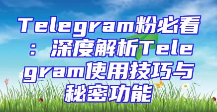 Telegram粉必看：深度解析Telegram使用技巧与秘密功能