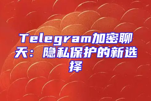 Telegram加密聊天：隐私保护的新选择
