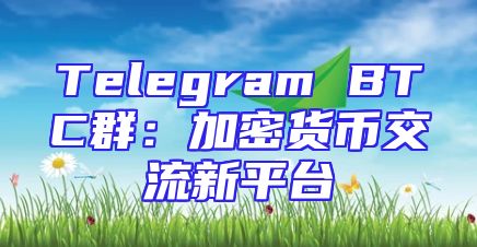Telegram BTC群：加密货币交流新平台