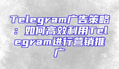 Telegram广告策略：如何高效利用Telegram进行营销推广