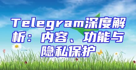 Telegram深度解析：内容、功能与隐私保护