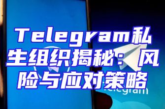 Telegram私生组织揭秘：风险与应对策略