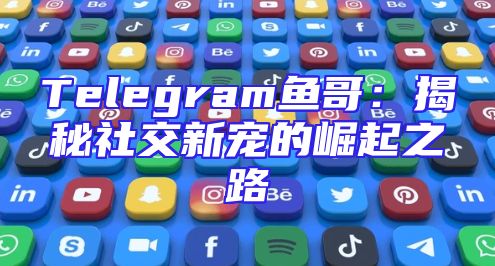 Telegram鱼哥：揭秘社交新宠的崛起之路