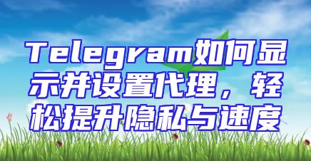 Telegram如何显示并设置代理，轻松提升隐私与速度