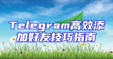 Telegram高效添加好友技巧指南