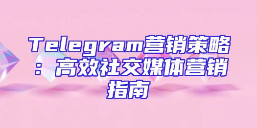 Telegram营销策略：高效社交媒体营销指南