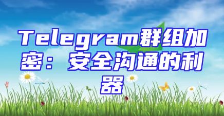Telegram群组加密：安全沟通的利器